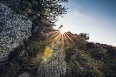 Italy, Lombardy, Hiker climbing Monte Legnoncino at sunrise - MAMF01781