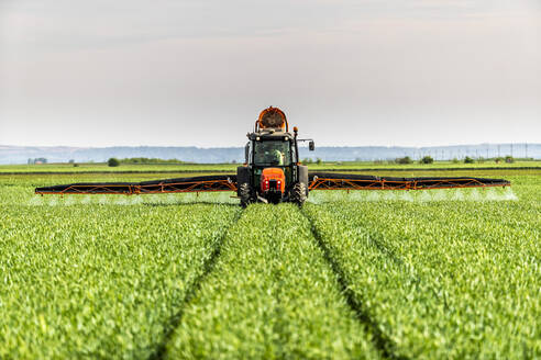 Traktor, der im Frühjahr Dünger auf einen Weizenacker streut - NOF00193