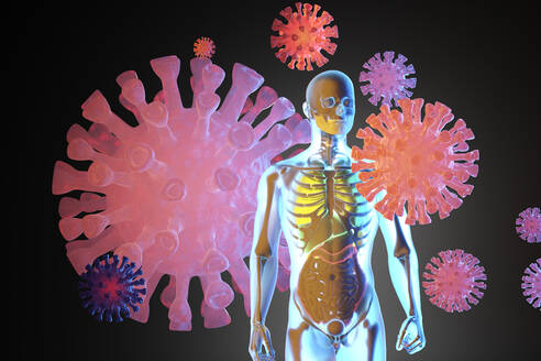 3D-Illustration der menschlichen Anatomie Visualisierung mit Skelett und innere Organe von Virus umgeben - SPCF01363