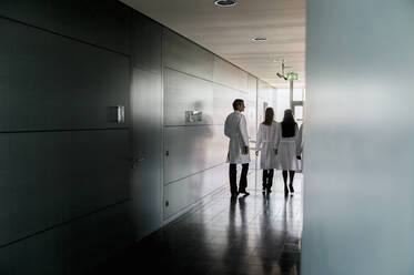 Ärzte gehen durch den Korridor im Krankenhaus - BMOF00636