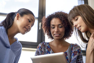 Geschäftsfrauen arbeiten im Büro an einem digitalen Tablet - BMOF00688