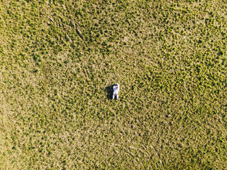 Astronaut auf dem Boden liegend an einem sonnigen Tag - MEUF02772