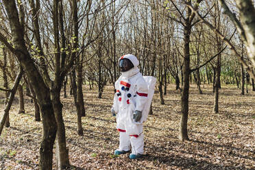 Astronaut in Raumanzug und Helm schaut in den Wald - MEUF02783