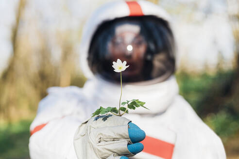 Junge Astronautin hält Blume im Wald - MEUF02808