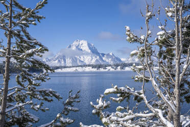Mount Moran framed by snow covered trees, Grand Teton National Park, Wyoming, United States of America, North America - RHPLF19740