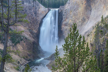 Untere Wasserfälle des Grand Canyon, umrahmt von Bäumen, Yellowstone National Park, UNESCO Weltkulturerbe, Wyoming, Vereinigte Staaten von Amerika, Nordamerika - RHPLF19749