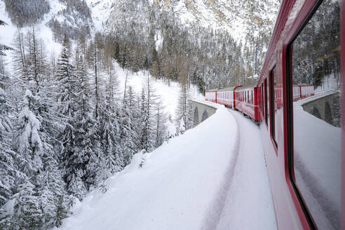 Bernina Express Zug in der verschneiten Alpenlandschaft, Preda Bergun, Albulatal, Kanton Graubünden, Schweiz, Europa - RHPLF19764