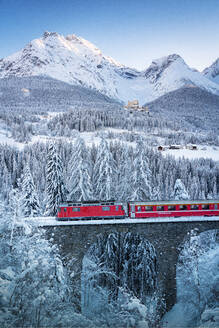 Bernina Express Zug im verschneiten Winterwald um Schloss Tarasp, Engadin, Kanton Graubünden, Schweiz, Europa - RHPLF19766