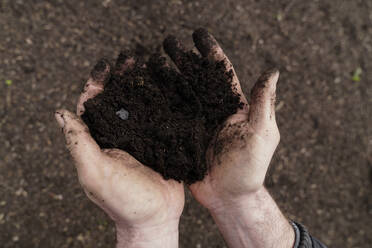 Mature man holding soil in hand - KMKF01689