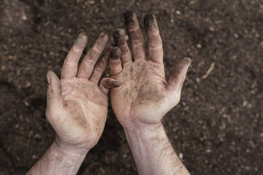 Dirty hands on mature man over soil - KMKF01692