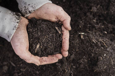 Soil held by mature man over land - KMKF01695