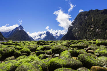 Neuseeland, Südinsel, Milford Sound, Moosbewachsene Steine in majestätischer Berglandschaft - WVF01862