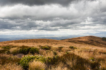 Neuseeland, Südinsel, Fiordland National Park, Regenwolken über der Wildnis - WVF01864