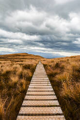 New Zealand, South Island, Fiordland National Park, Boardwalk through wilderness area - WVF01869
