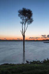 Neuseeland, Nordinsel, Rotorua, Okareka-See in der Abenddämmerung - WVF01880