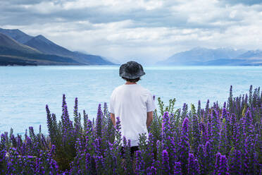 Neuseeland, Canterbury, Rückansicht eines jungen Mannes mit Hut inmitten blühender Lupinen (Lupinus) am Lake Tekapo - WVF01895