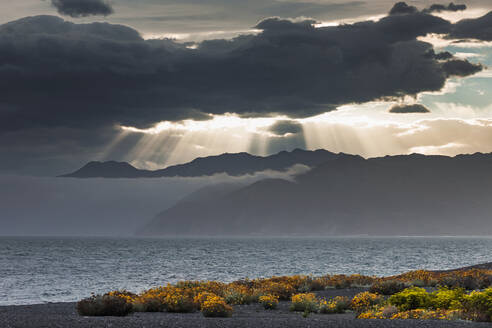 Neuseeland, Canterbury, Kaikoura, Dramatischer Himmel über ruhigem Meer - WVF01901