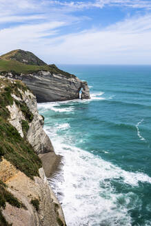 Neuseeland, Südinsel, Cliffs of Cape Farewell - WVF01904