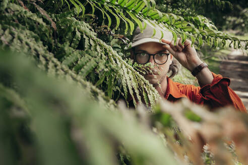 Junger Mann mit Mütze schaut durch Cyathea Dealbata-Farn im Wald - WVF01907