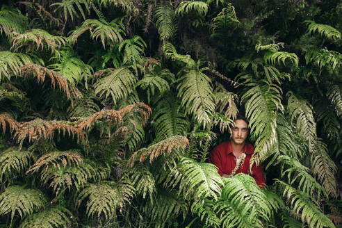 Junger Mann, der inmitten von Cyathea dealbata-Bäumen im Wald steht und starrt - WVF01910