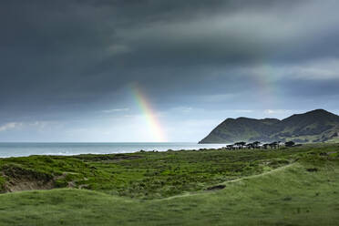 Double rainbow piercing dark storm clouds over green coastal terrain - WVF01914