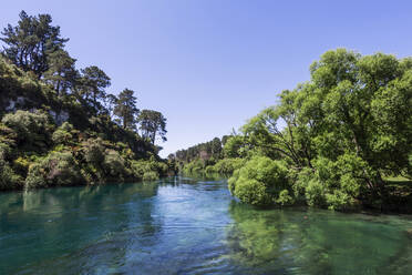 Waikato River an einem sonnigen Sommertag - WVF01920