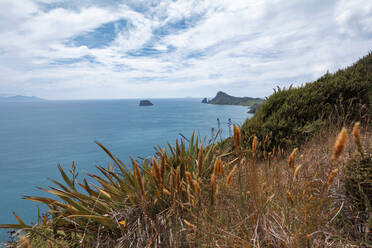 Coastline of Coromandel Peninsula - WVF01943