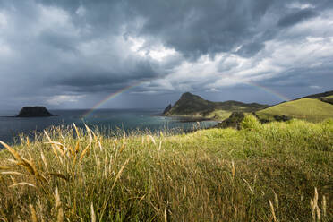 Der Regenbogen wölbt sich gegen die Gewitterwolken, die sich über der Küste der Coromandel-Halbinsel sammeln - WVF01950