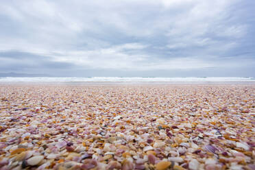 Pebbles on coastal beach of Spirits Bay - WVF01957