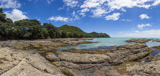 Rocky coastline of Bay of Plenty in summer, North Island, New Zealand - WVF01965