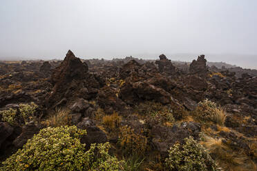 Neuseeland, Ruapehu-Distrikt, braune Vulkanlandschaft im Tongariro-Nationalpark - WVF01970