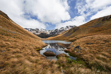 Bach, der durch braunes, grasbewachsenes Gelände in Arthurs Pass, Südinsel, Neuseeland, fließt - WVF01992