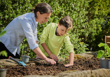 Son helping mother in planting at back yard during sunny day - DIKF00577