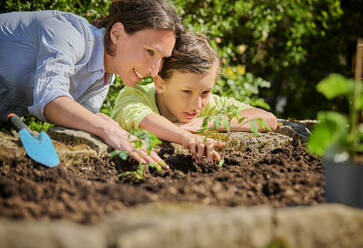 Son with mother looking at plant in garden - DIKF00579