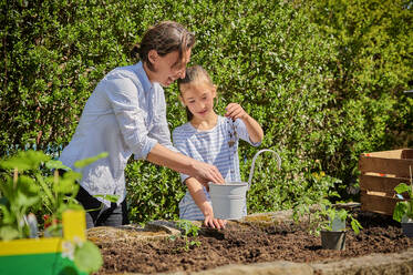 Tochter hilft Mutter bei der Pflanzung im Garten - DIKF00583