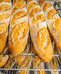 Rows of tasty oval shaped bread with golden surface and crunchy crust on metal rack shelves - ADSF24304