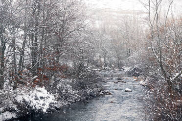 Snowing in winter landscape of a river - ADSF24341