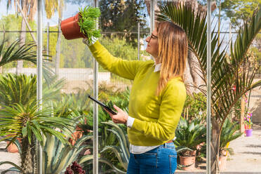 Seitenansicht einer weiblichen Käuferin mit Maske, die eine Sukkulenten-Topfpflanze auswählt, während sie in der Nähe eines Standes im Gartencenter steht - ADSF24430