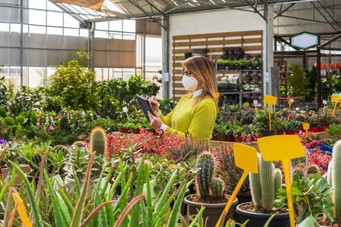 Fleißige Gärtnerin in Maske steht in der Nähe verschiedener Pflanzen und blättert auf einem Tablet, während sie in einem Gartencenter arbeitet - ADSF24431