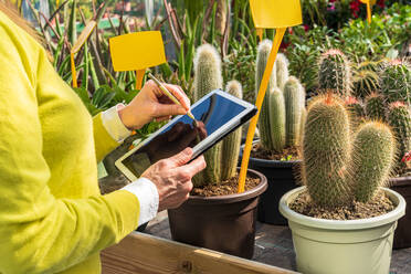 Eine Gärtnerin benutzt ein modernes Tablet, während sie Pflanzen zählt und in einem Gartencenter arbeitet - ADSF24433
