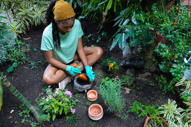 From above hippie black female with dreadlocks gardener sitting in hothouse and planting green plant in ceramic pots - ADSF24481