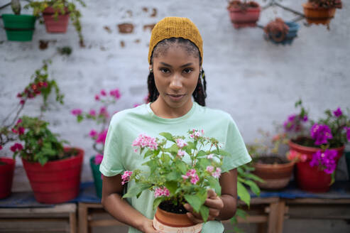 Erfreute schwarze Gärtnerin steht im Gewächshaus mit blühenden Blumen im Keramiktopf und schaut in die Kamera - ADSF24483