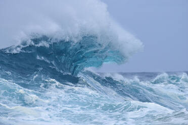 Große plätschernde Welle des Pazifischen Ozeans - RUEF03293