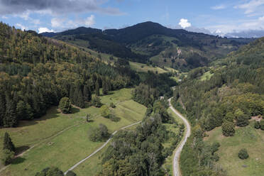 Drohnenansicht einer Landstraße, die sich über eine grüne Waldlandschaft im Schwarzwald erstreckt - RUEF03322