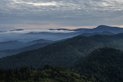 Blick vom Hochblauen auf die umliegenden Berge bei nebliger Morgendämmerung - RUEF03324