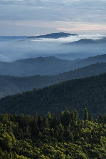 Blick vom Hochblauen auf die umliegenden Berge bei nebliger Morgendämmerung - RUEF03325