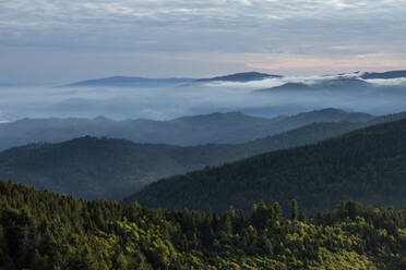 Blick vom Hochblauen auf die umliegenden Berge bei nebliger Morgendämmerung - RUEF03326