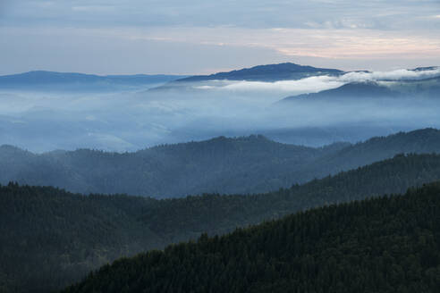 Blick vom Hochblauen auf die umliegenden Berge bei nebliger Morgendämmerung - RUEF03327