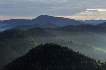 Blick vom Hochblauen auf die umliegenden Berge bei nebliger Morgendämmerung - RUEF03328