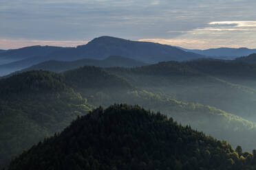 View from Hochblauen on surrounding mountains at foggy dawn - RUEF03328